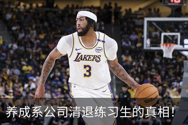 养成系公司清退练习生的真相！