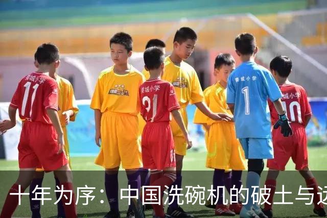 十年为序：中国洗碗机的破土与远征