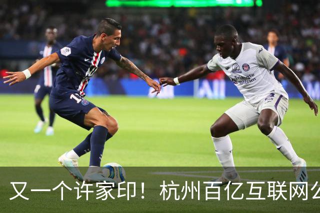 又一个许家印！杭州百亿互联网公司暴雷，49岁创始人失联被立案