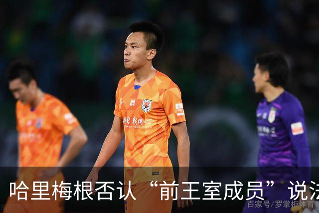 哈里梅根否认“前王室成员”说法，称二人仍是王室成员，也在工作
