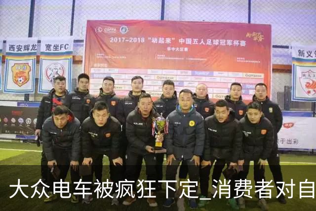 大众电车被疯狂下定 消费者对自主豪车已失望透顶