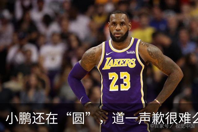 小鹏还在“圆”，道一声歉很难么