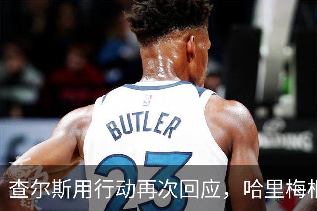 查尔斯用行动再次回应，哈里梅根进退两难，半进半出计划居然落空