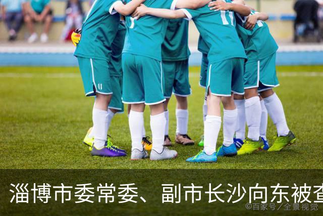 淄博市委常委、副市长沙向东被查：临近退休，半生城建路戛然而止