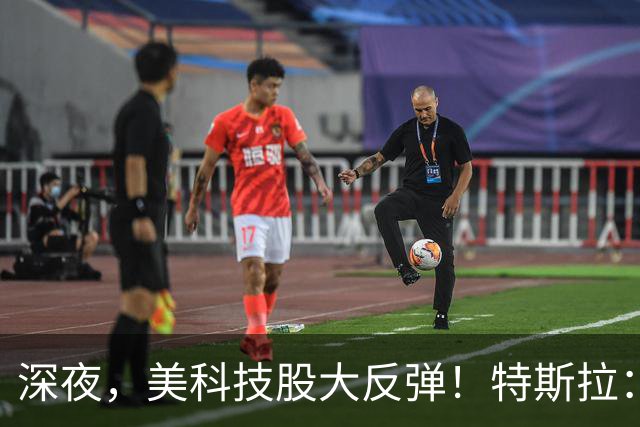 深夜，美科技股大反弹！特斯拉：马斯克去年实际薪酬为“0”！