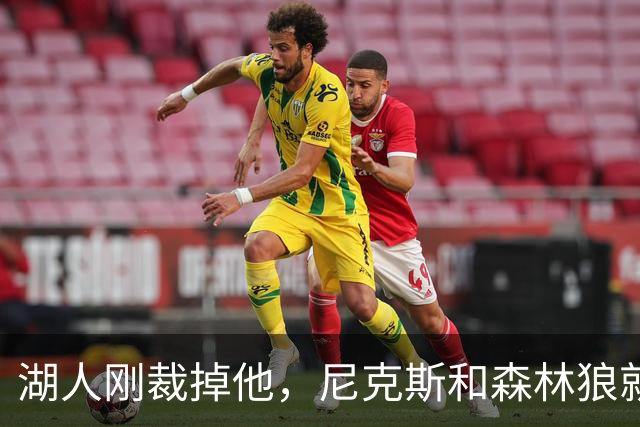 湖人刚裁掉他，尼克斯和森林狼就盯上了
