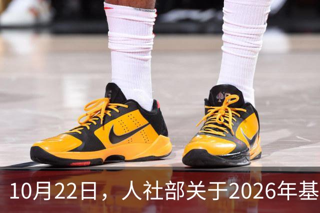 10月22日，人社部关于2026年基本养老金调整通知公布了吗？
